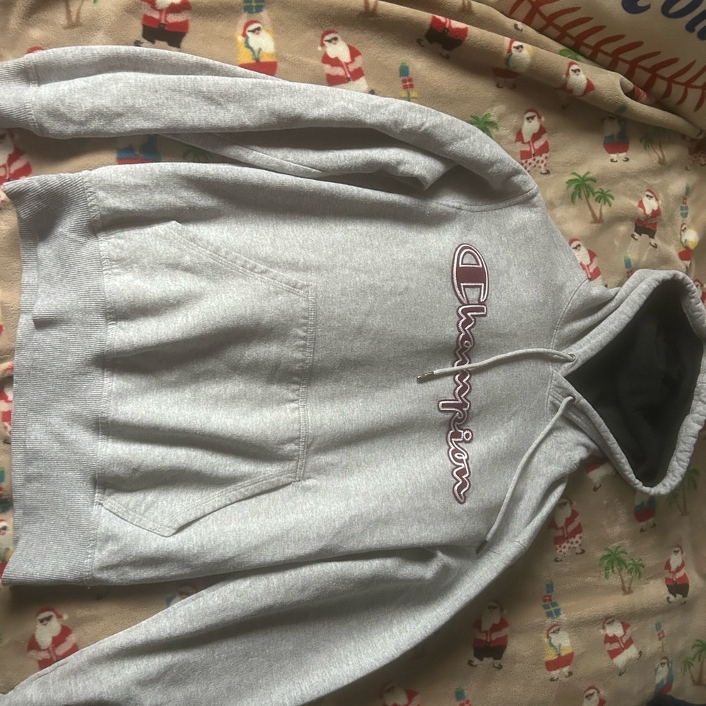 Champion Gray Men's Hoodie